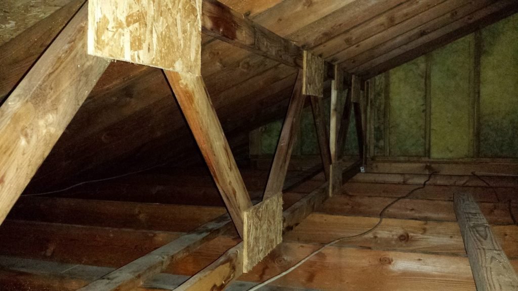 Image of an attic cleared of wildlife feces