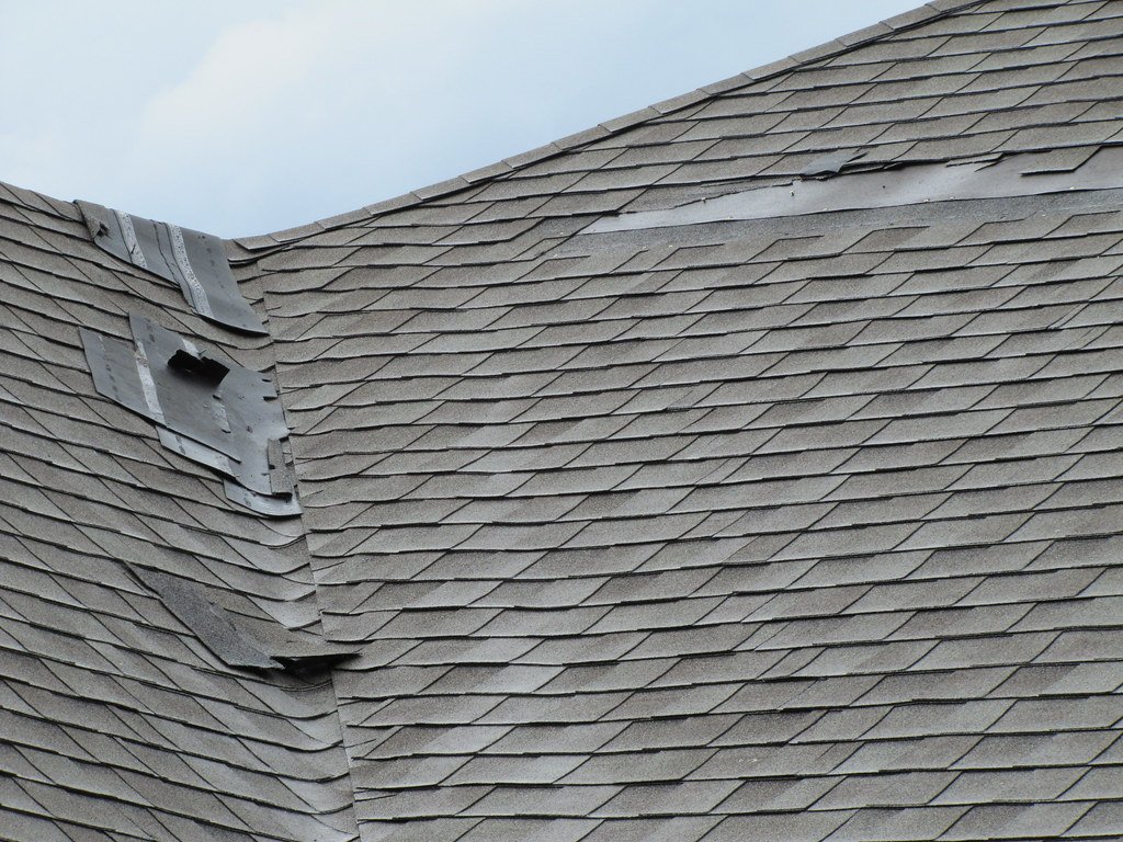 Image of roof damage caused by wildlife entry